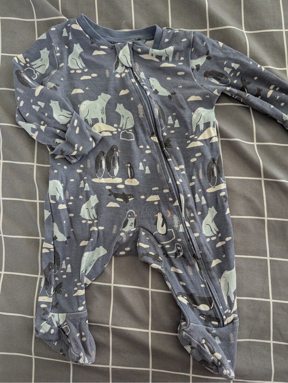 Tu Arctic animals sleeper